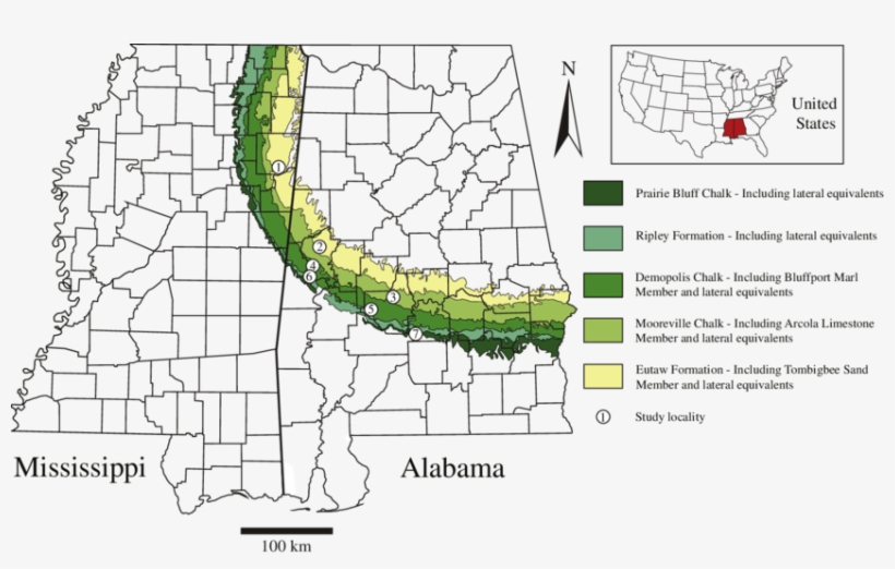 Collection Localities Of Specimens Sampled In This, transparent png download