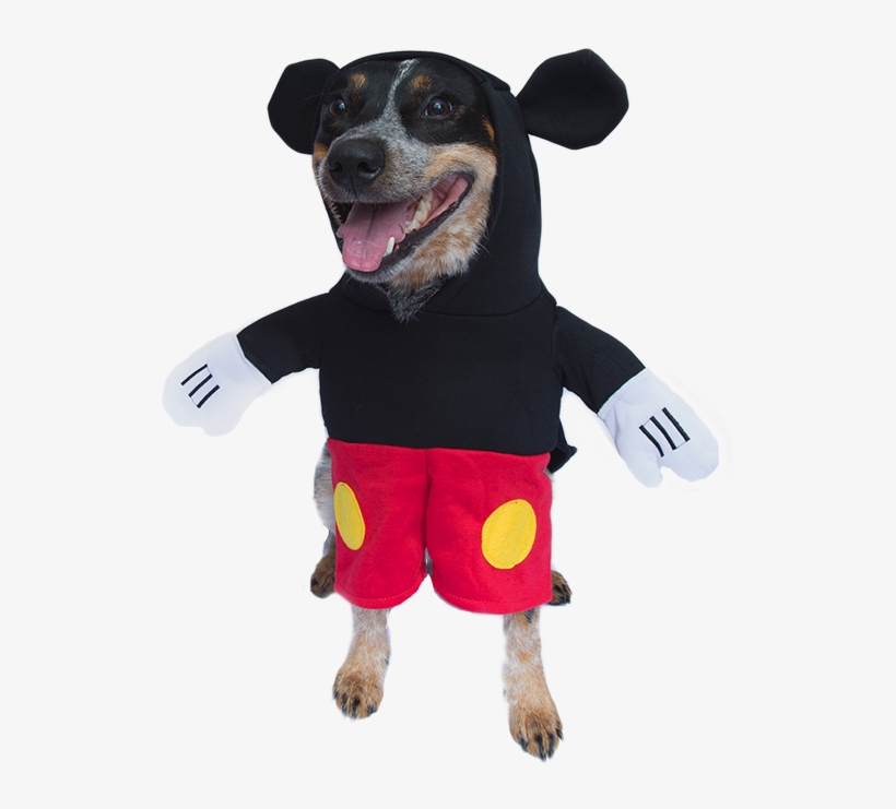 Buzz Lightyear Dog Costume Dog Costumes Clothes Pet, transparent png download