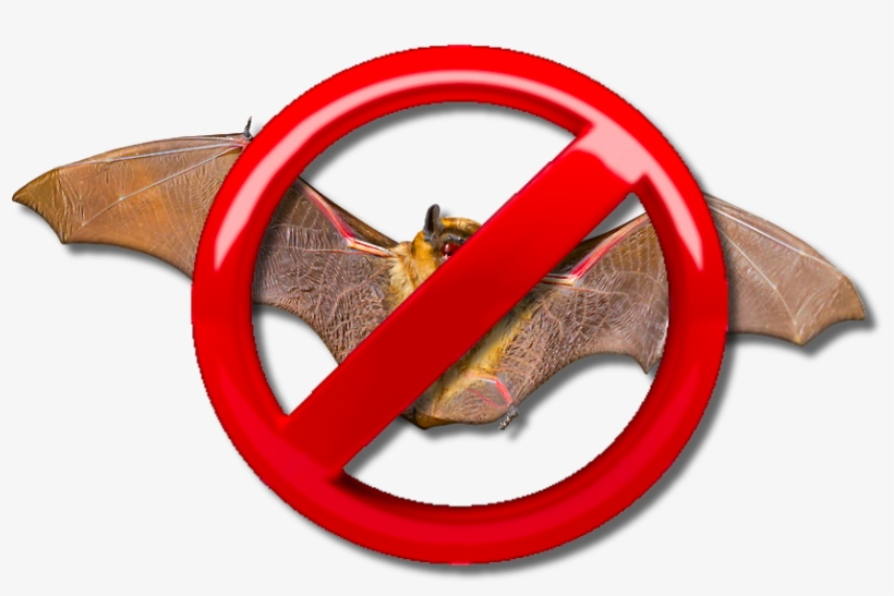 Nobats, transparent png download