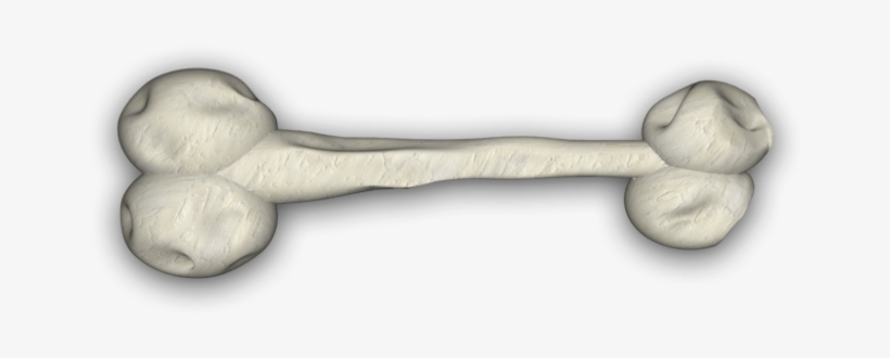 Bone 2 4e, transparent png download