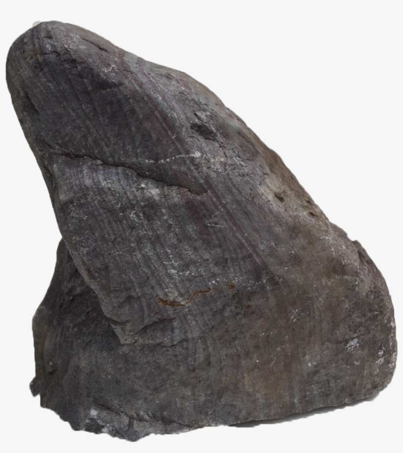 Purple Stripe Shark Fin, transparent png download