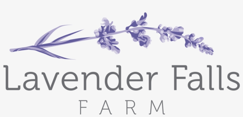 Lavender Sprig Png, transparent png download