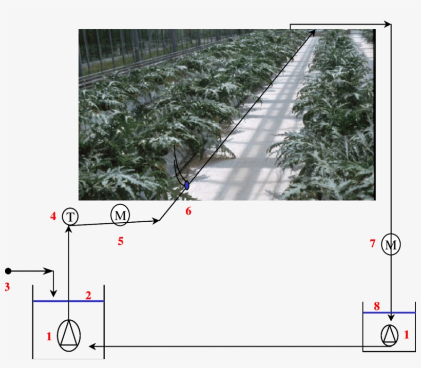 2 The Re-circulating System Of Nutrient Solution For, transparent png download