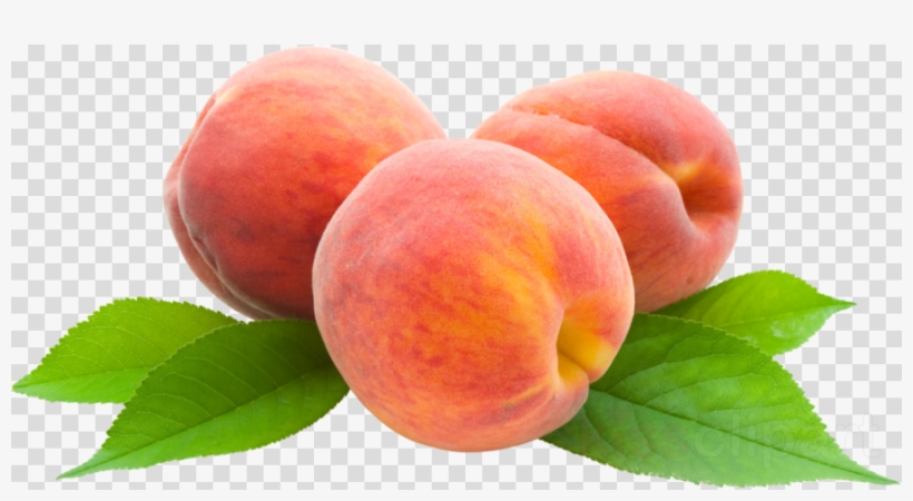 Peach Clipart Png, transparent png download