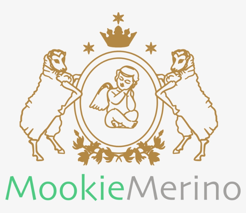 Sleeping Bag Png, transparent png download