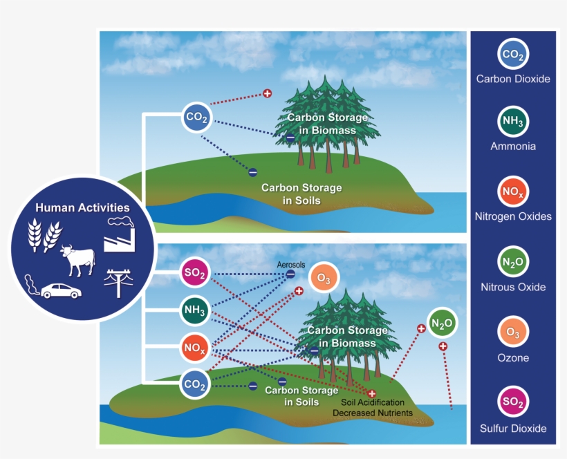 Many Factors Combine To Affect Biogeochemical Cycles, transparent png download