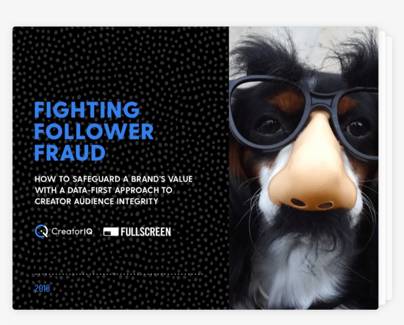 Fighting Follower Fraud, transparent png download