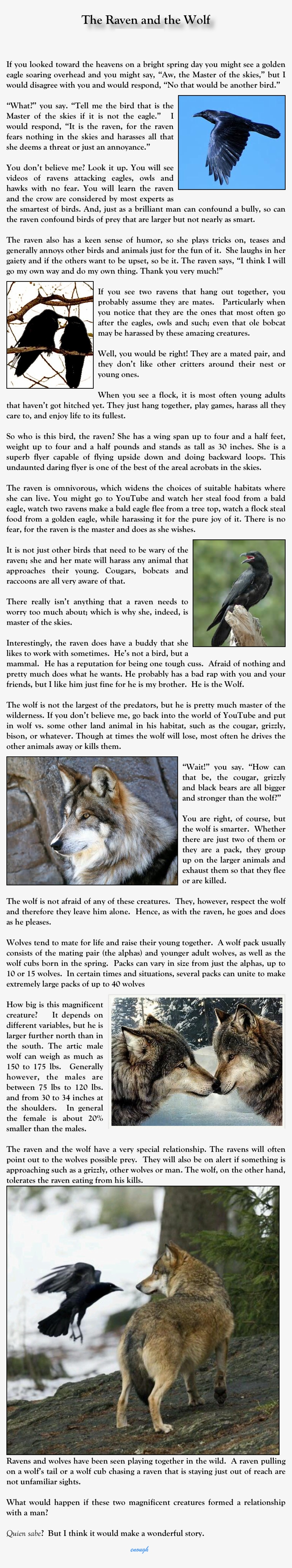 The Raven And The Wolf Mick Stratton Mstratton@hlkn, transparent png download