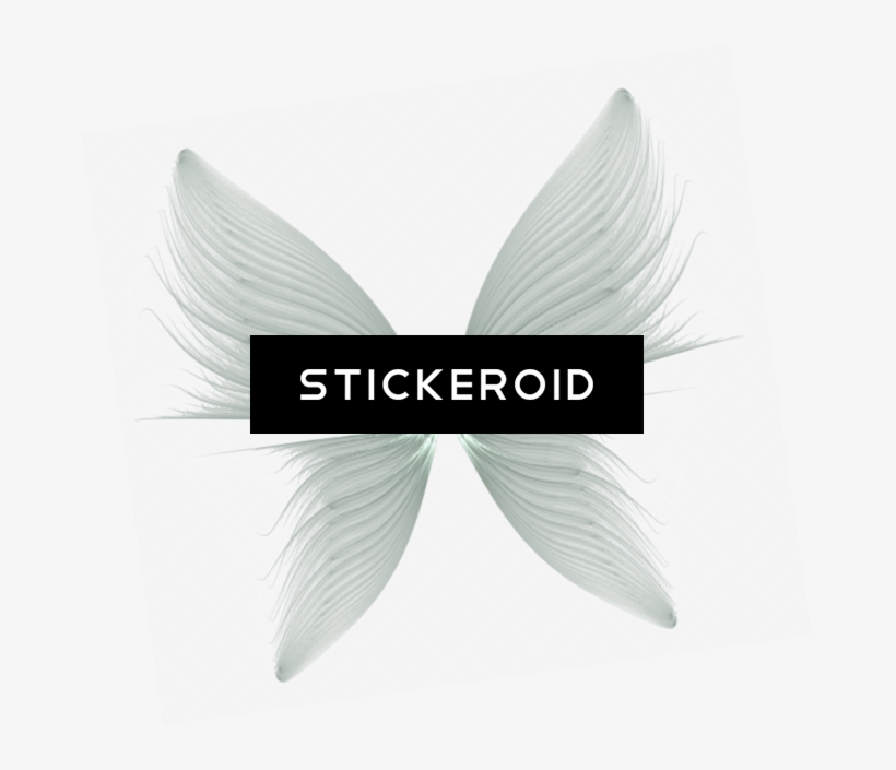 Blue Shield With Wings, transparent png download