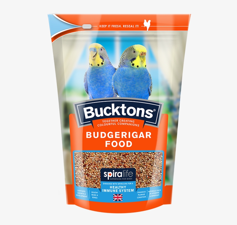 Budgerigar With Spiralife, transparent png download