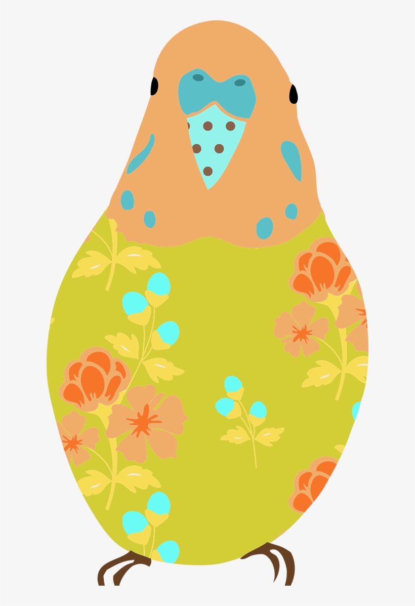 Budgie Clipart Transparent, transparent png download