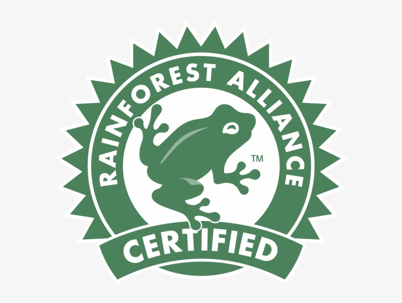 Rainforest Expedition, transparent png download