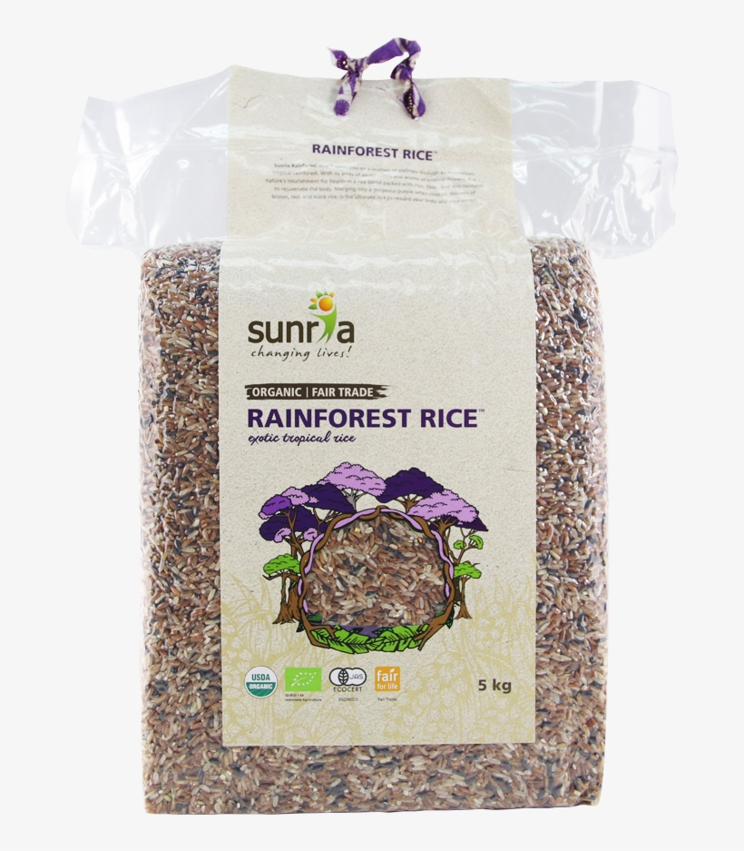 Rainforest Png, transparent png download