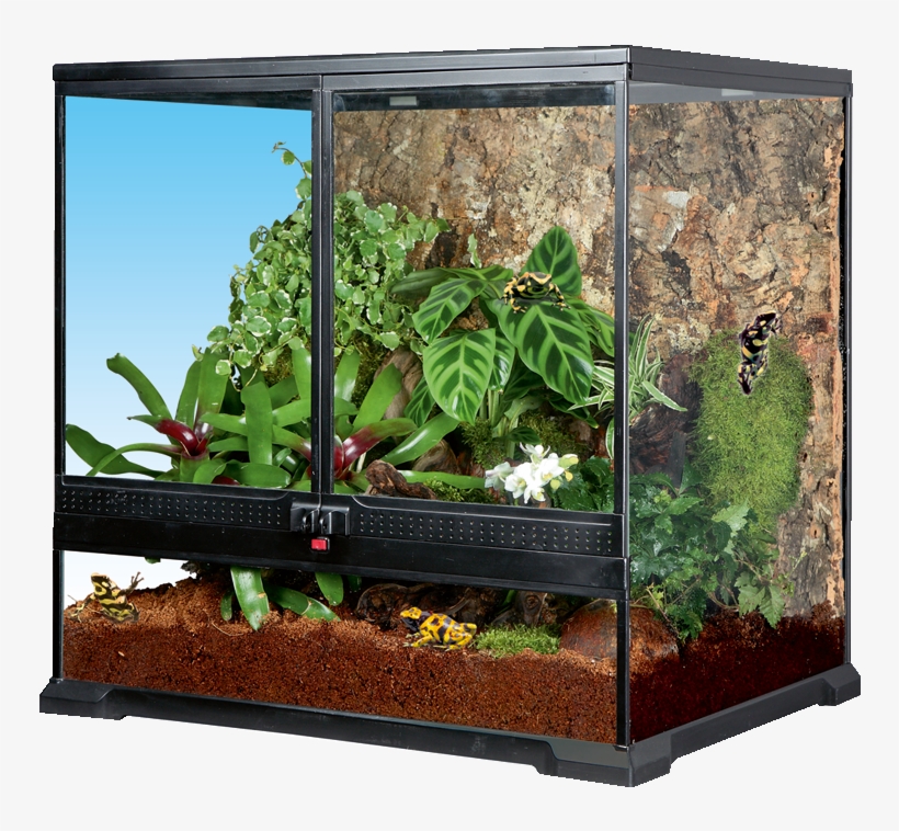 32000 Int Sera Reptil Terra Biotop 60 Product Rainforest, transparent png download