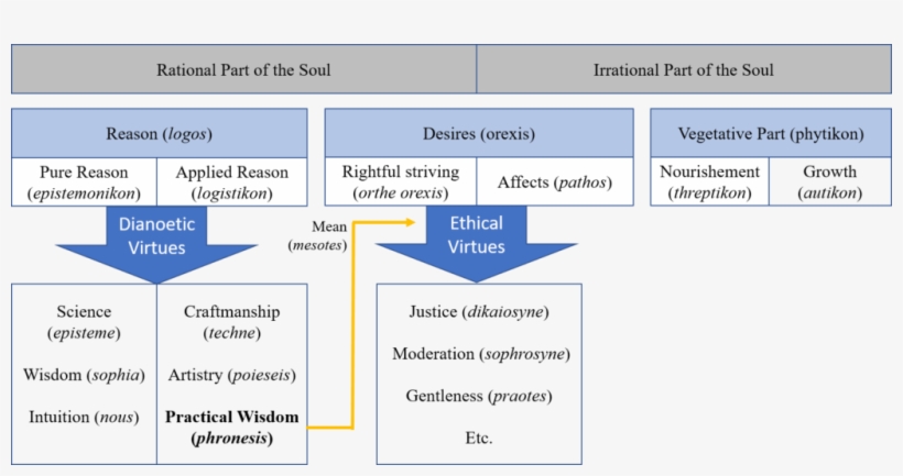 For Aristotle Moral Action Goes Far Beyond Mere Decision, transparent png download