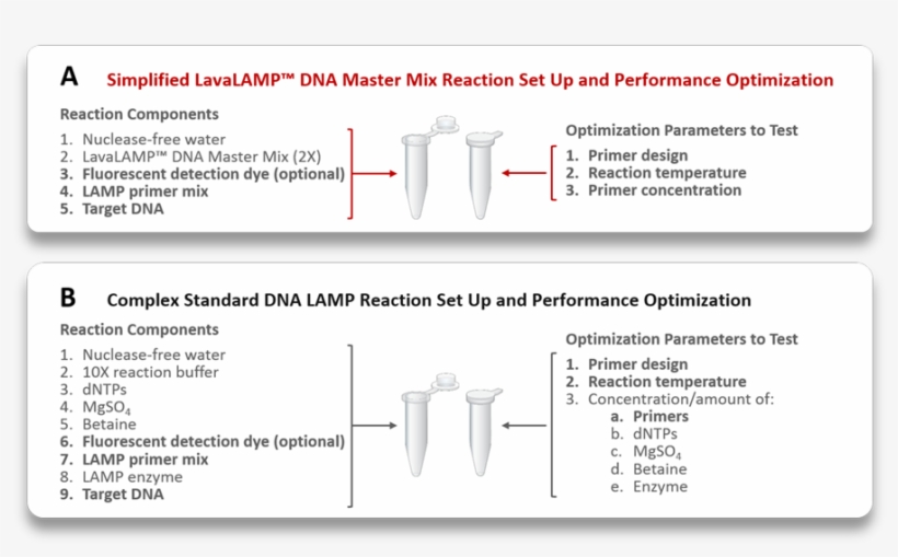 Lavalamp Loop Mediate Amplification Reaction Easy, transparent png download