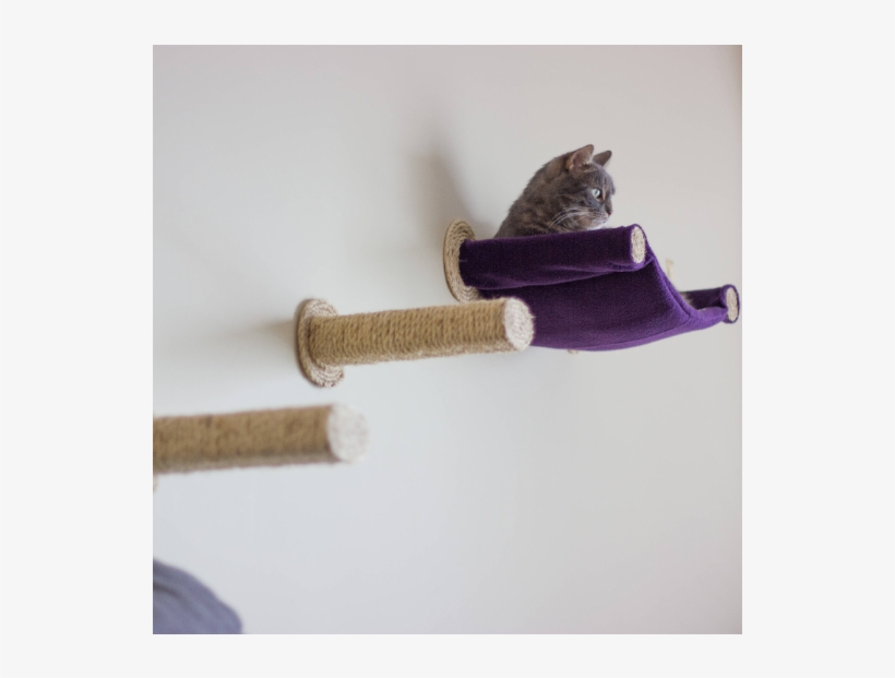 Cat Hammock, transparent png download