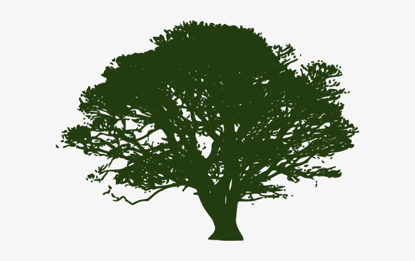 Wetlands - Oak Tree Silhouette, transparent png download