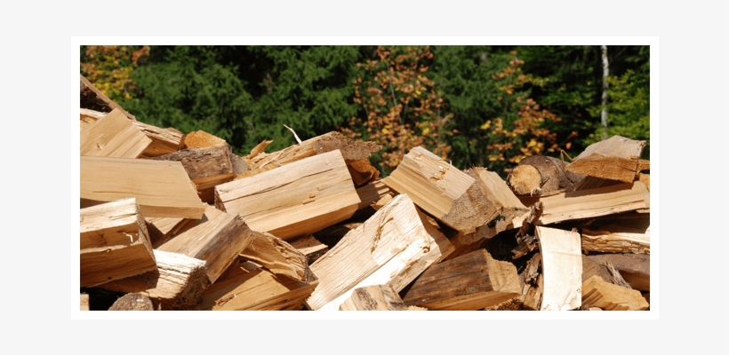 Call Today For The Tree Removal Service That Protects - Wood, transparent png download