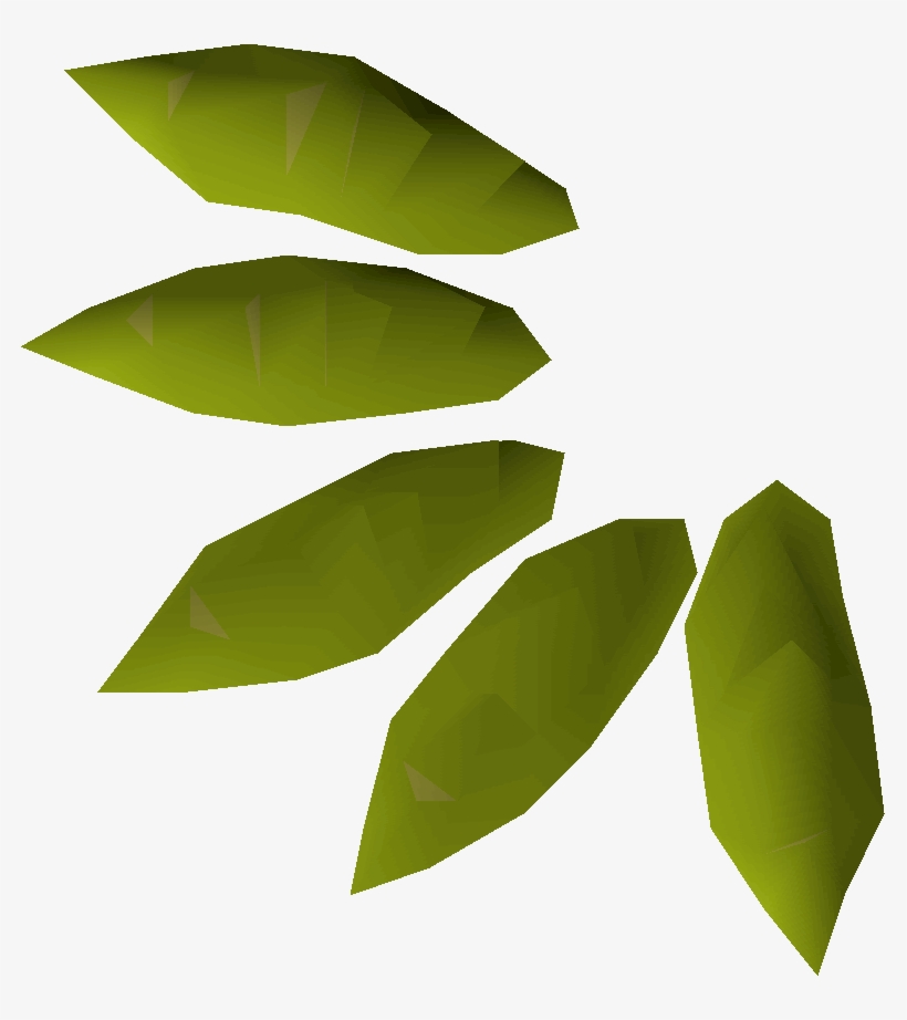 Willow Seed, transparent png download