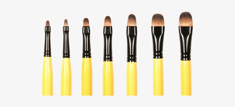 Filbert Paint Brushes - Paintbrush, transparent png download