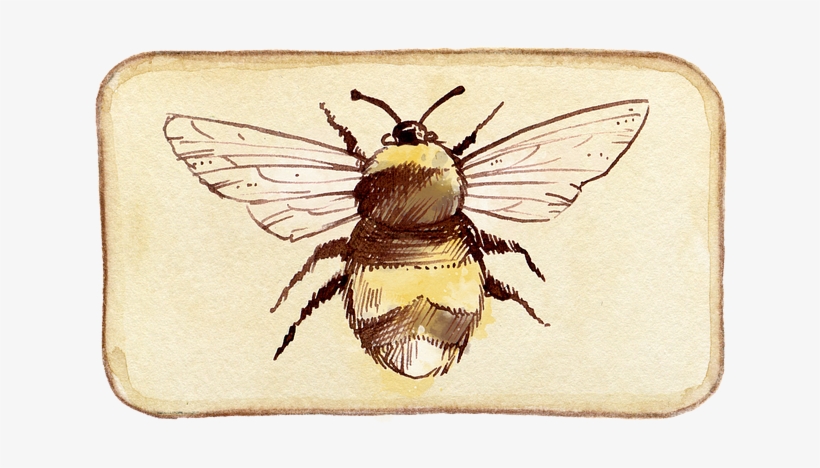 Cafepress ! Samsung Galaxy S8 Case, transparent png download