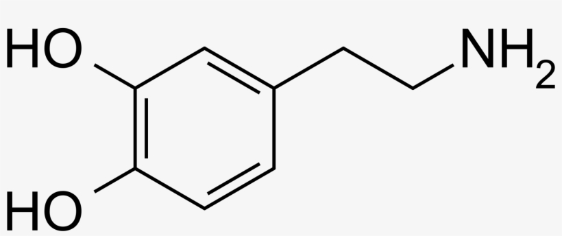 Fish Are Dope, You Know What “amine” - Dopamine, transparent png download