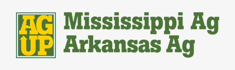 Brand Logo Brand Logo - Canton, transparent png download