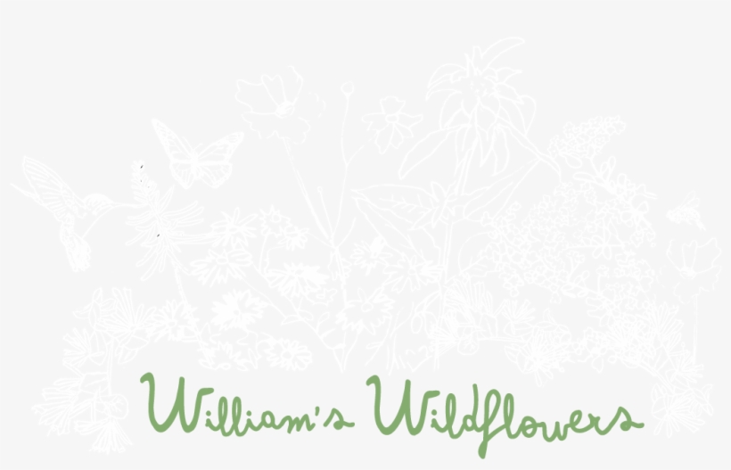 William's Wildflowers - New York City, transparent png download