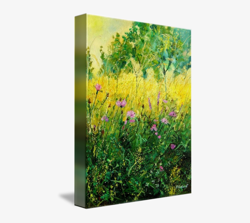 Landscape Field Flowers Cornflowers - Pol Ledent, transparent png download