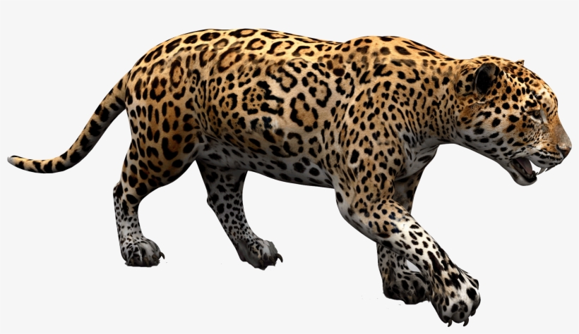 Jaguar Walking Png Download Image - Jaguar Png, transparent png download