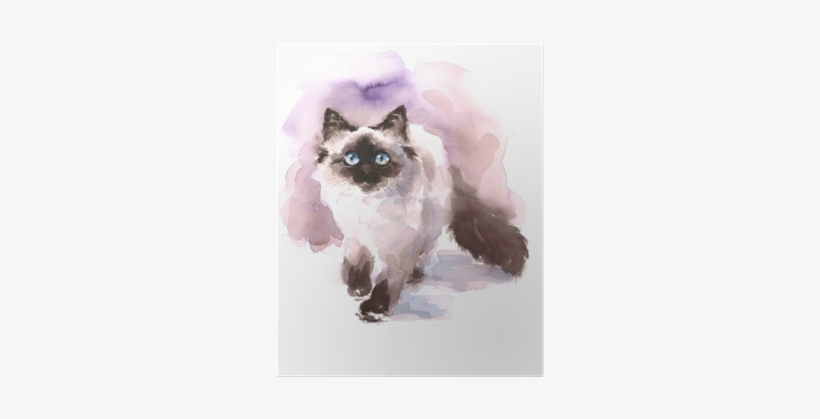 Watercolor Siamese Ragdoll Cat Walking Looking Up Hand - Watercolor Paintings Of Birman Cats, transparent png download