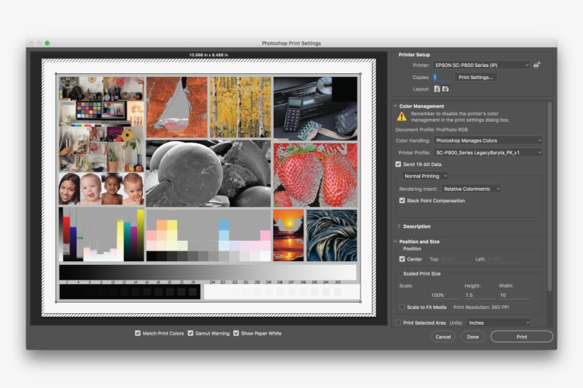 P800 Mac Photoshop Manages Colors Settings - Matte P800 Settings Photoshop, transparent png download