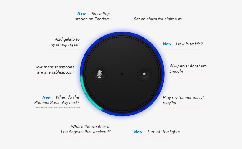 You Just Say The 'wake Word', “alexa”, Then Give A - Amazon Alexa Questions, transparent png download