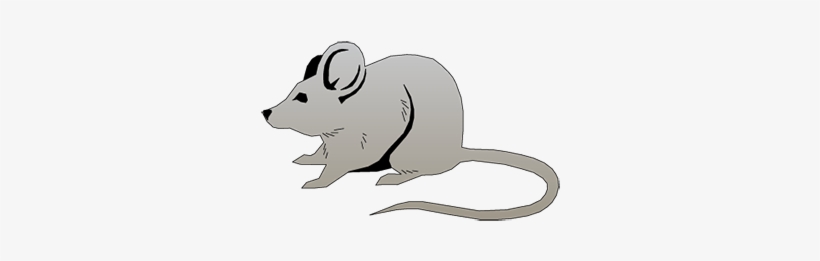 Mouse Brain - Ear, transparent png download