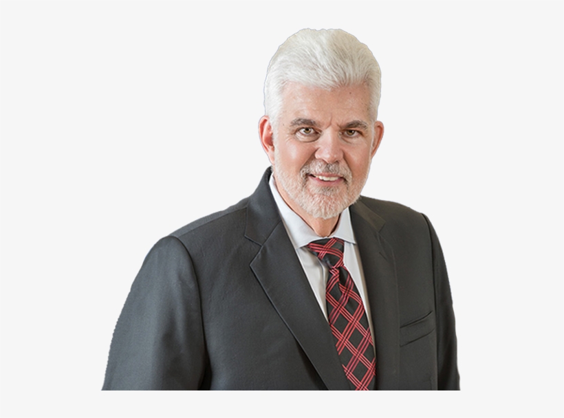 The - Businessperson, transparent png download