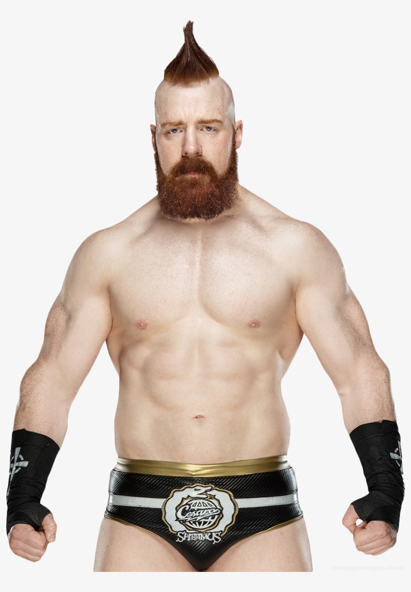 Sheamus Abs - Wwe Sheamus Render 2018, transparent png download
