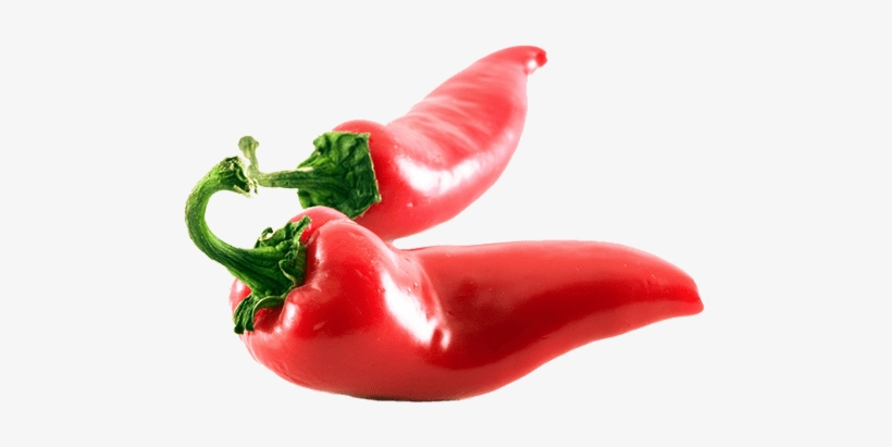 Chili - Jalapeños Png, transparent png download