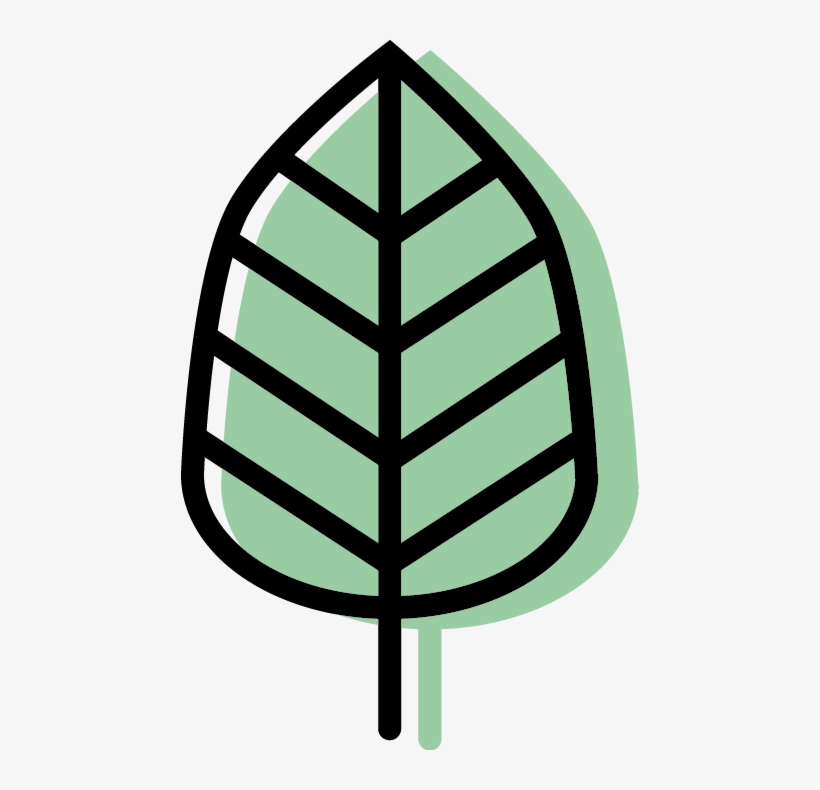 Veins Of Nature - Japanese Agricultural Standards, transparent png download