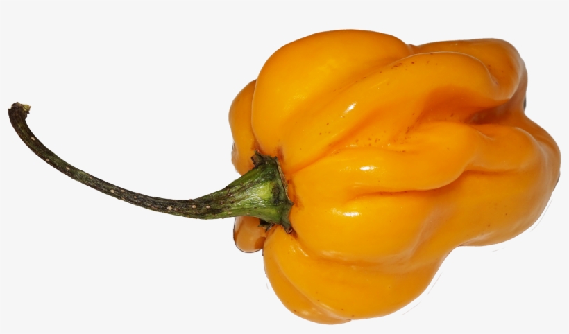 Yellow Chili - Chili Png, transparent png download