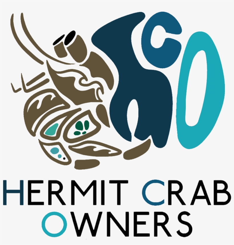Check Out This Information On Hermit Crab Care In Our, transparent png download