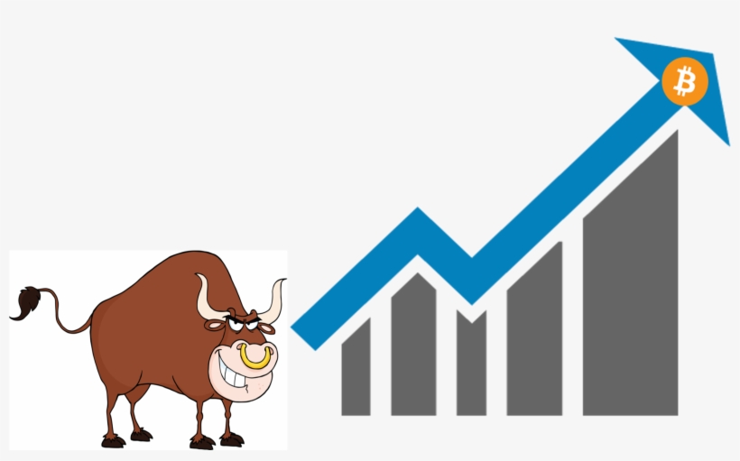 Btc Bull Market, transparent png download