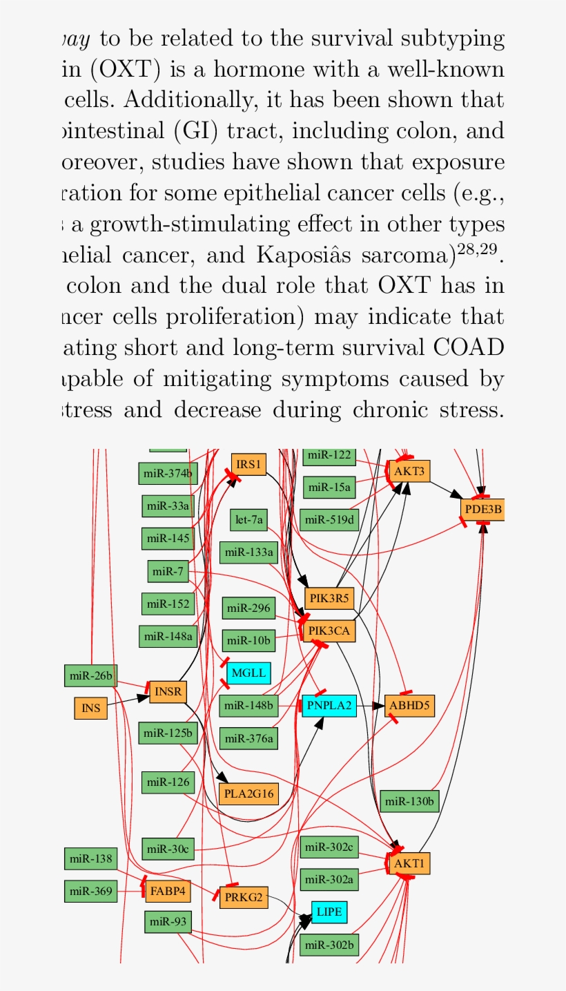 Portion Of The Mirna-augmented Regulation Of Lipolysis, transparent png download