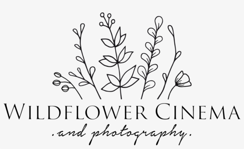 Wild Flower Png, transparent png download