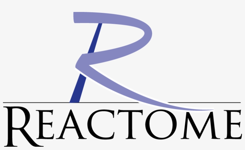 In Inoh, The Term Pathway Refers To Higher Order Functional, transparent png download