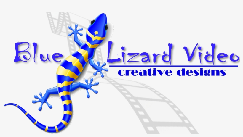 By Blue Lizard Video, transparent png download