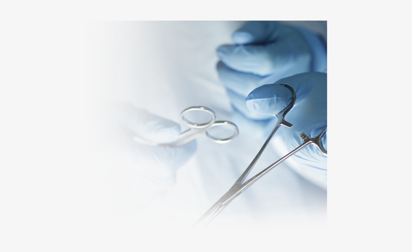 Mount Elizabeth Day Surgery, transparent png download