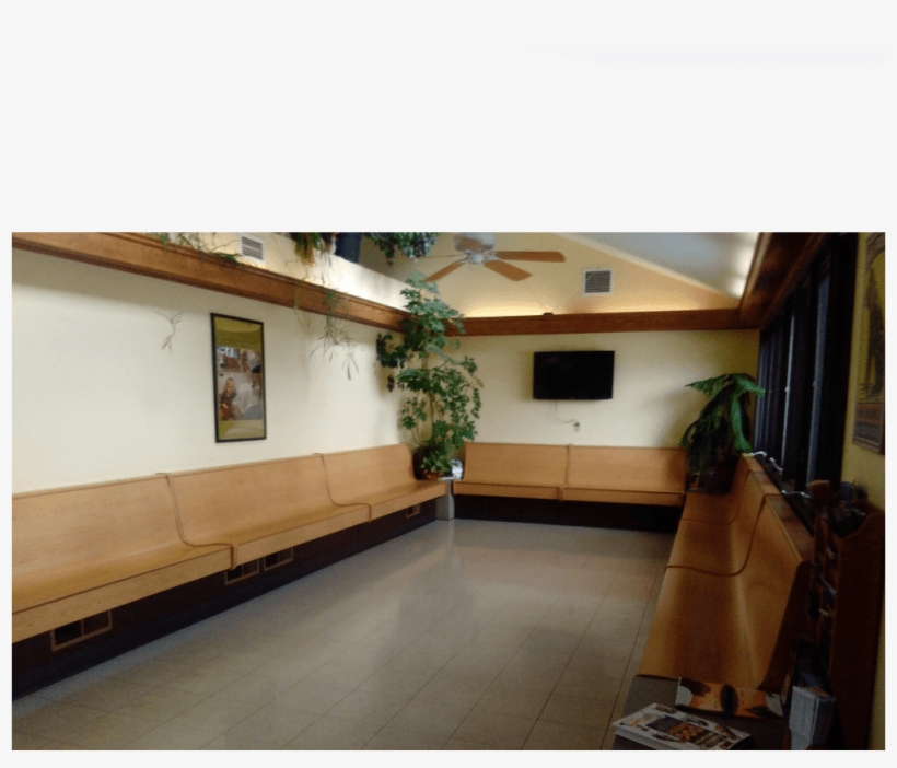 Lobby At Fort Wayne Animal Hospital, transparent png download
