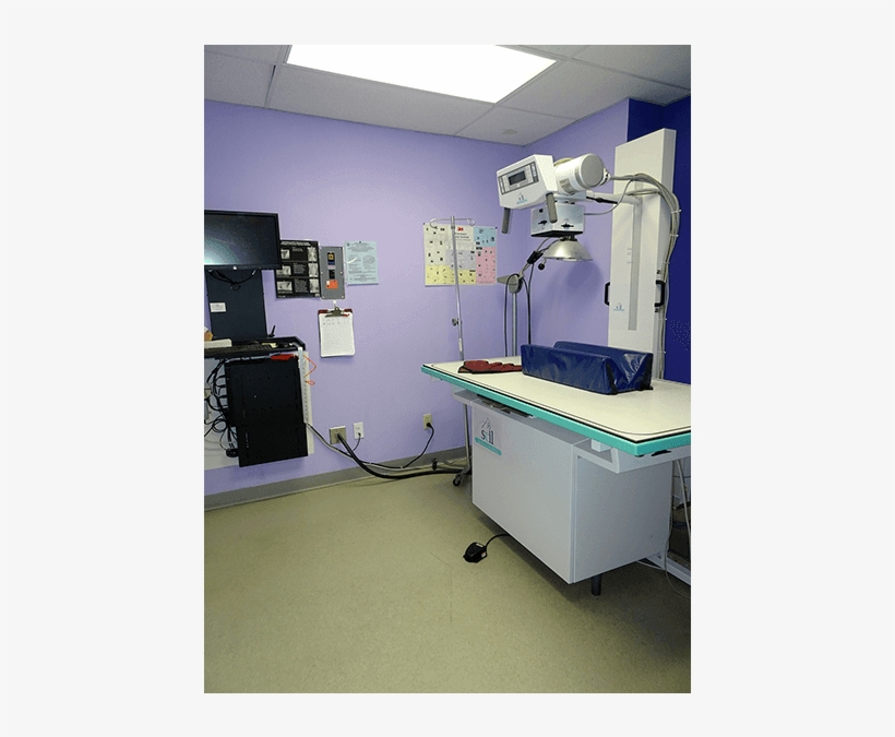 X-ray Room At Sandwich Veterinary Hospital, transparent png download