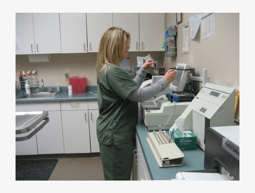 Our Professional Staff Will Keep Your Pet Healthy At, transparent png download